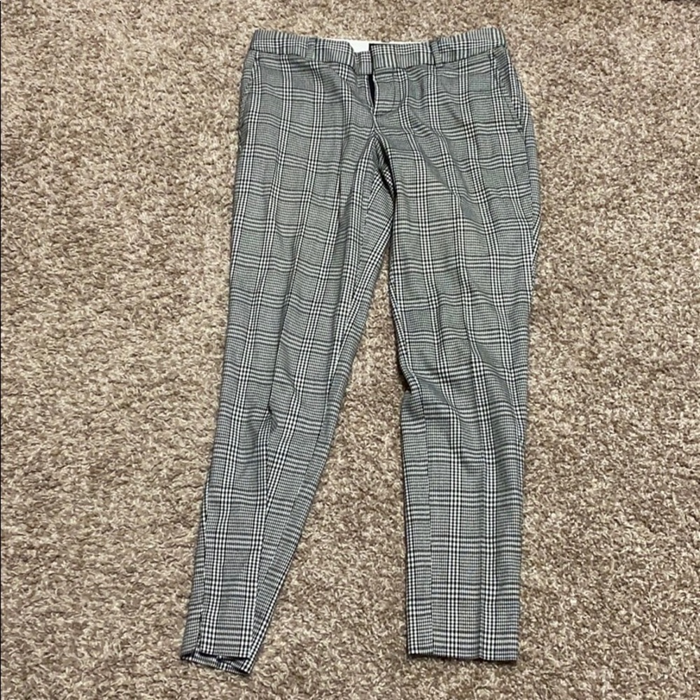 Dress pants